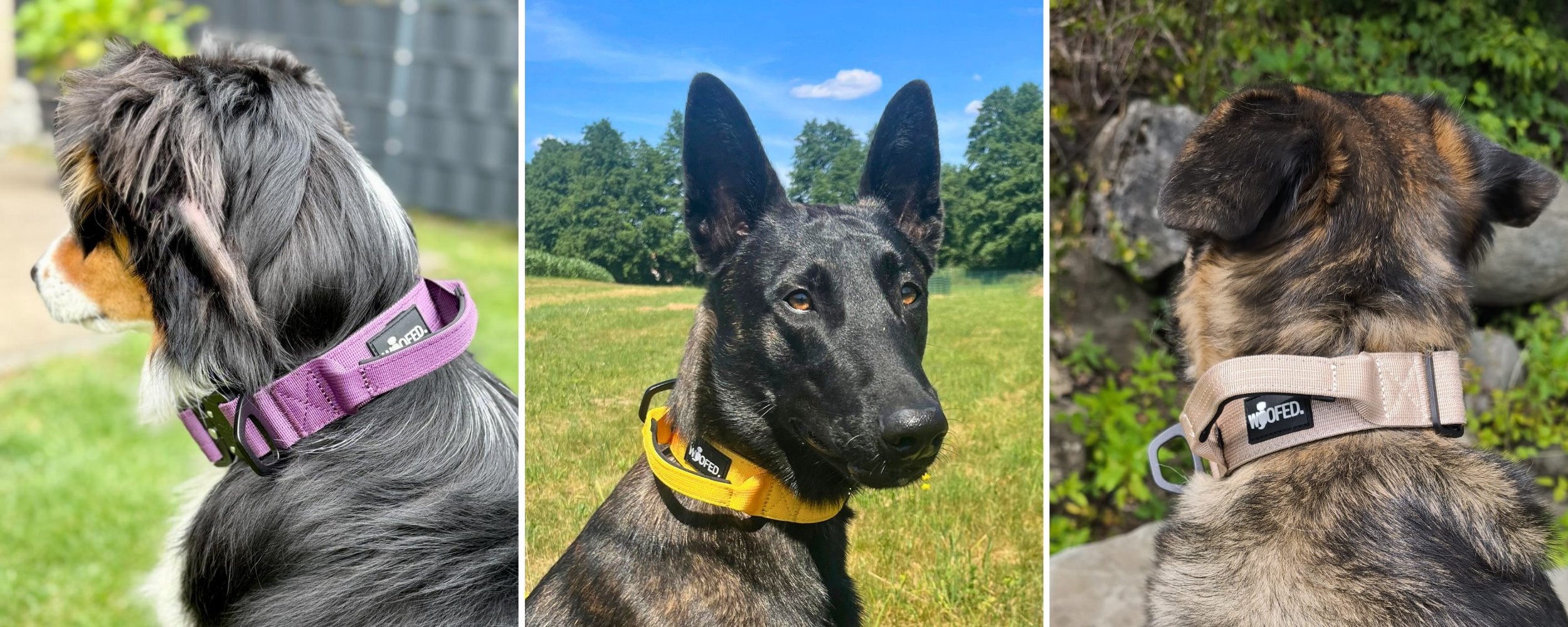 Nylon Tactical Collection - WOOFED.