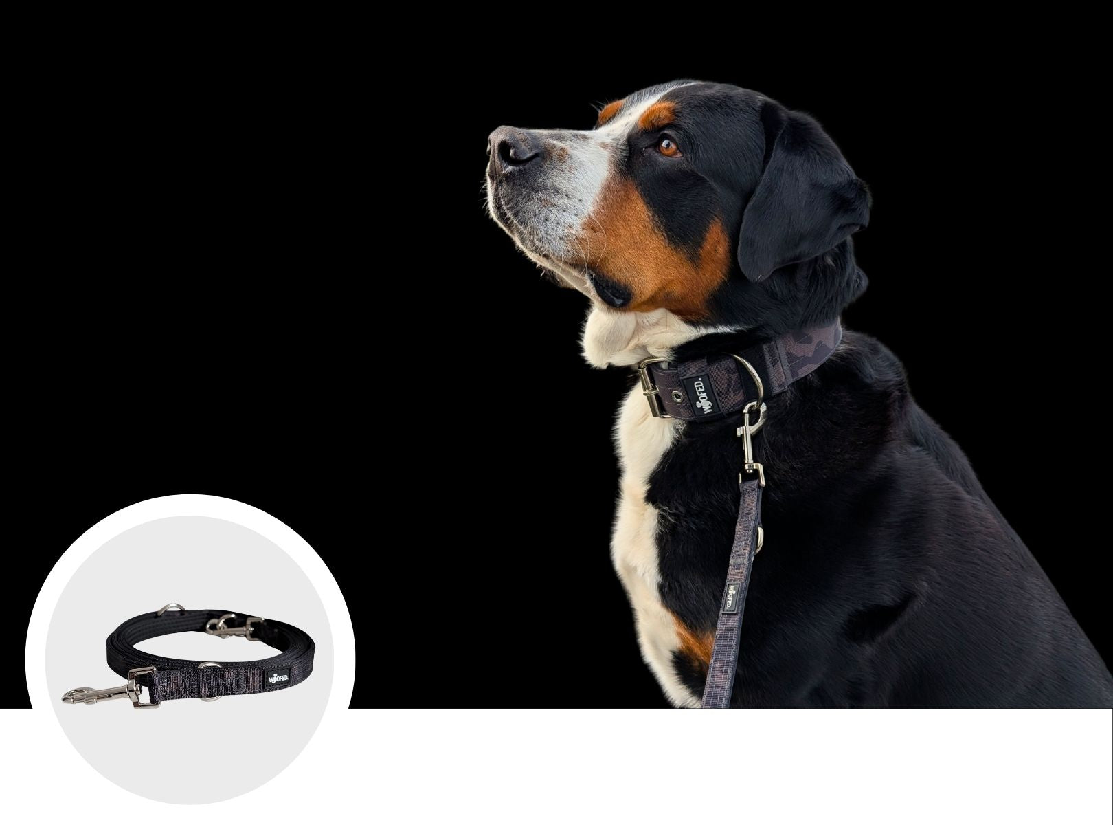 Nylon Führleine Classic