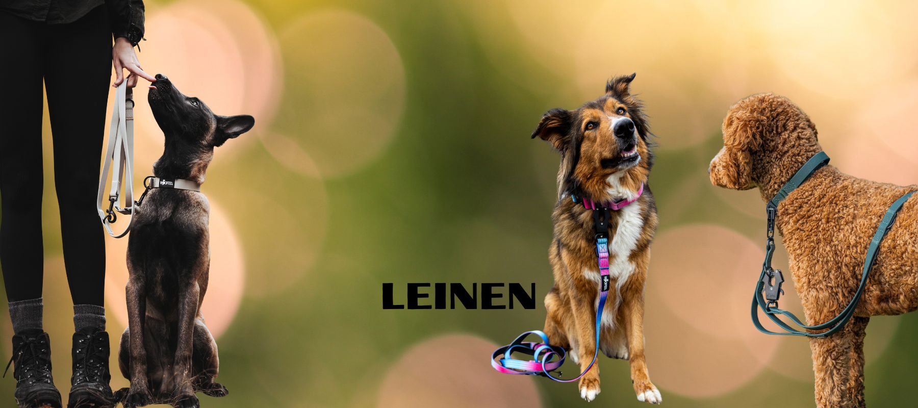 Leinen - WOOFED.