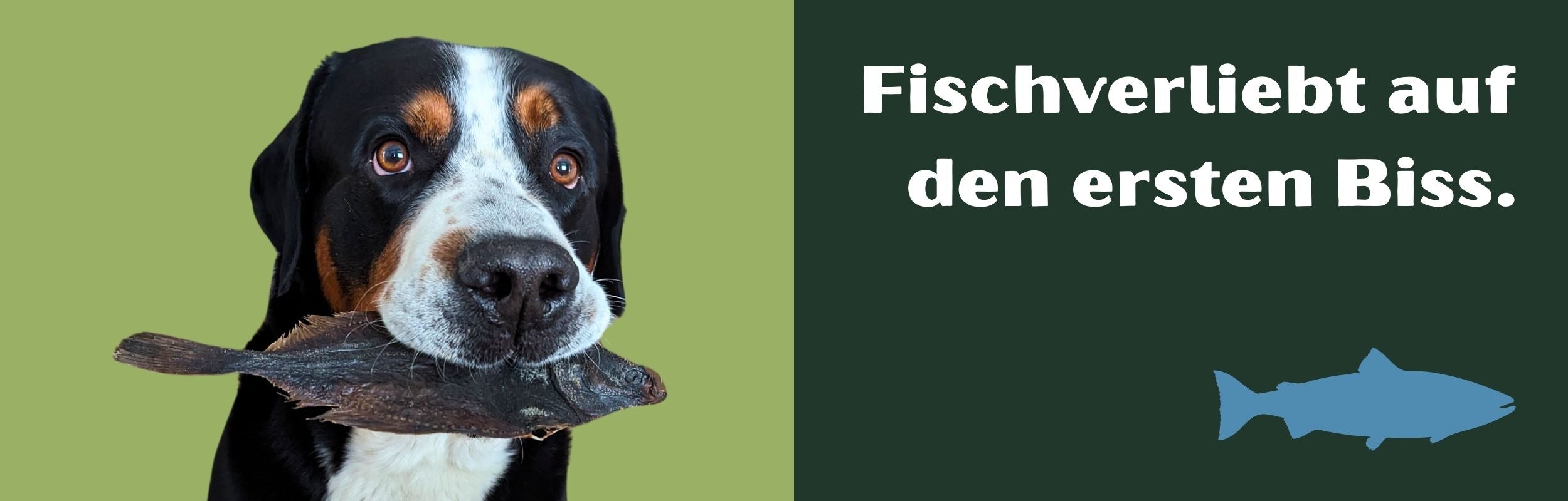 Fisch