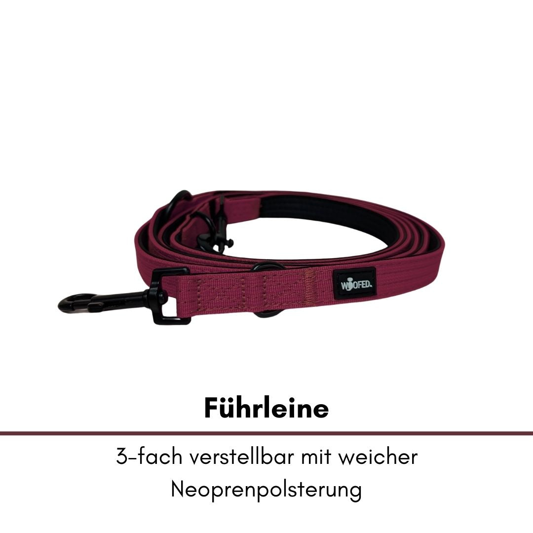 Nylon Classic Führleine Bordeaux