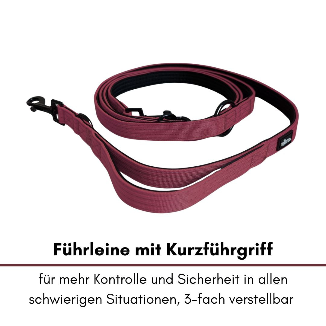 Nylon Classic Führleine Bordeaux