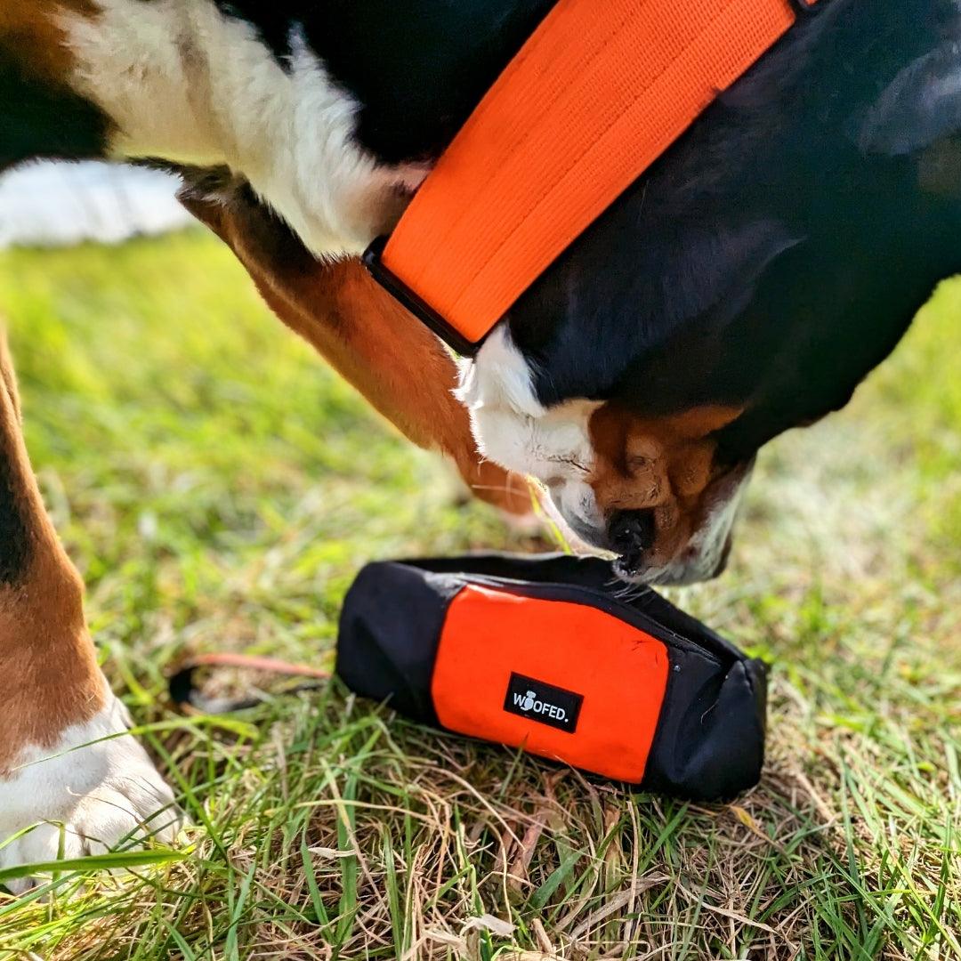 Futterdummy Trainingsdummy Neonorange