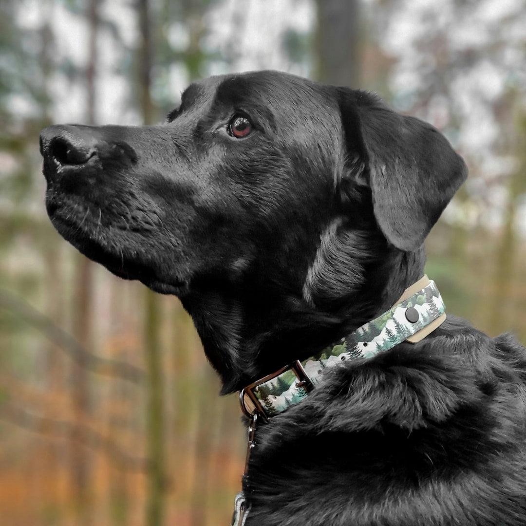 UV Biothane Halsband-Leinen-Set Forest Mountain - WOOFED.