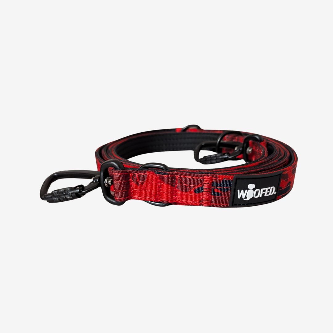 Nylon Führleine Safety Lock Red Camo