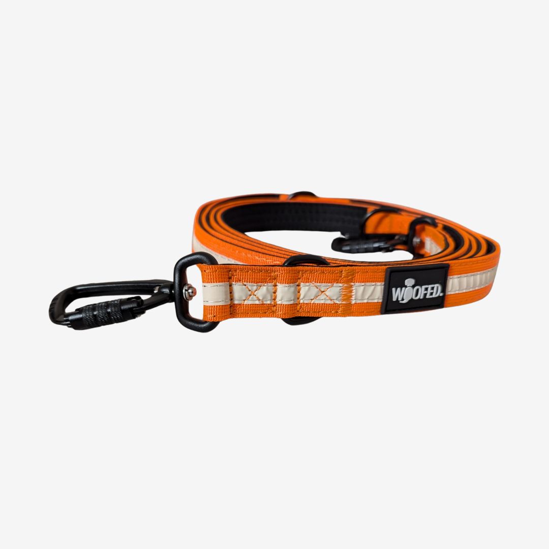 Nylon Führleine Safety Lock Orange Glow