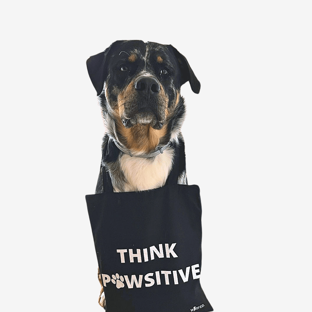 Baumwolltasche "Think Pawsitive" - WOOFED.
