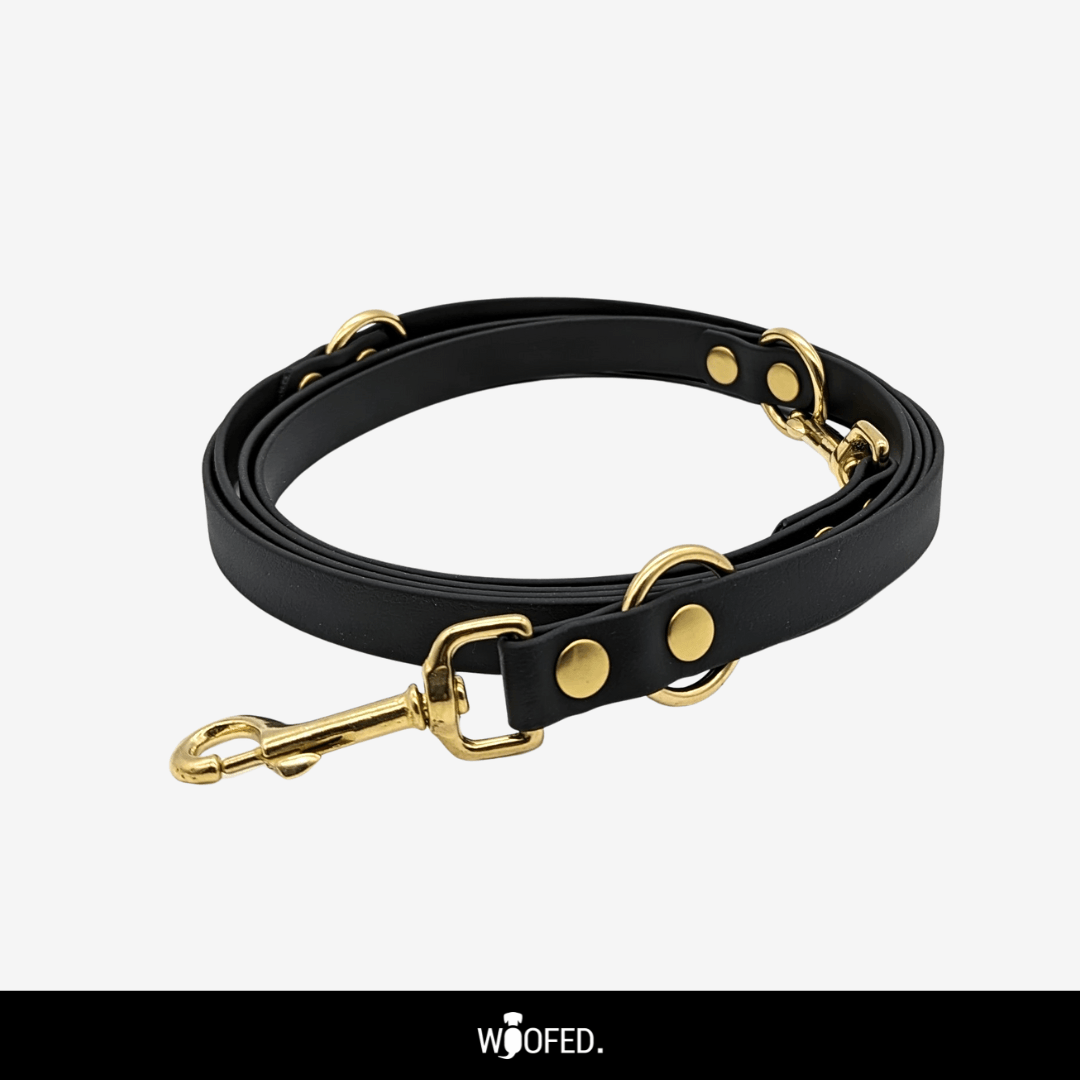 Biothane Führleine verstellbar - WOOFED.