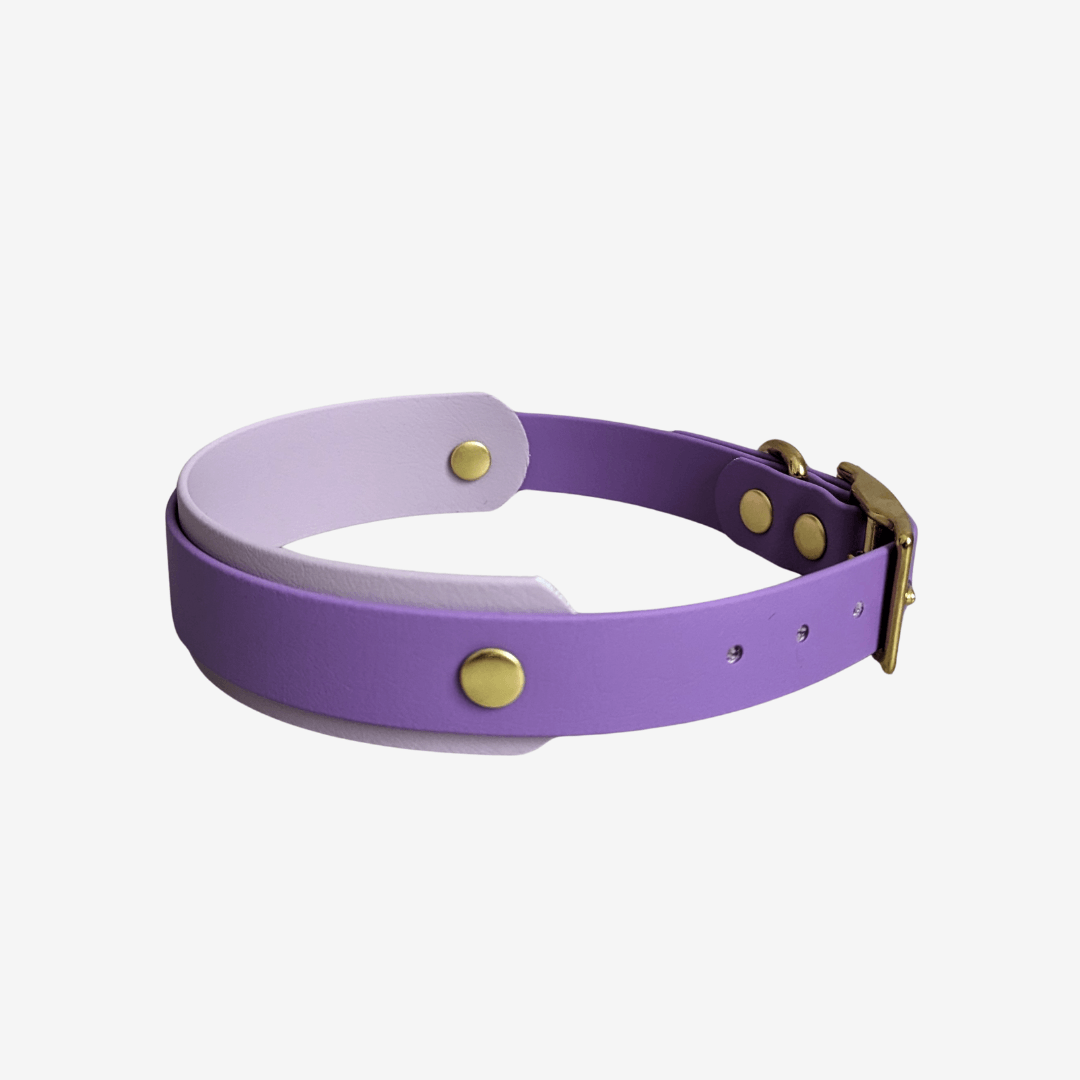 Biothane Halsband LAVENDER