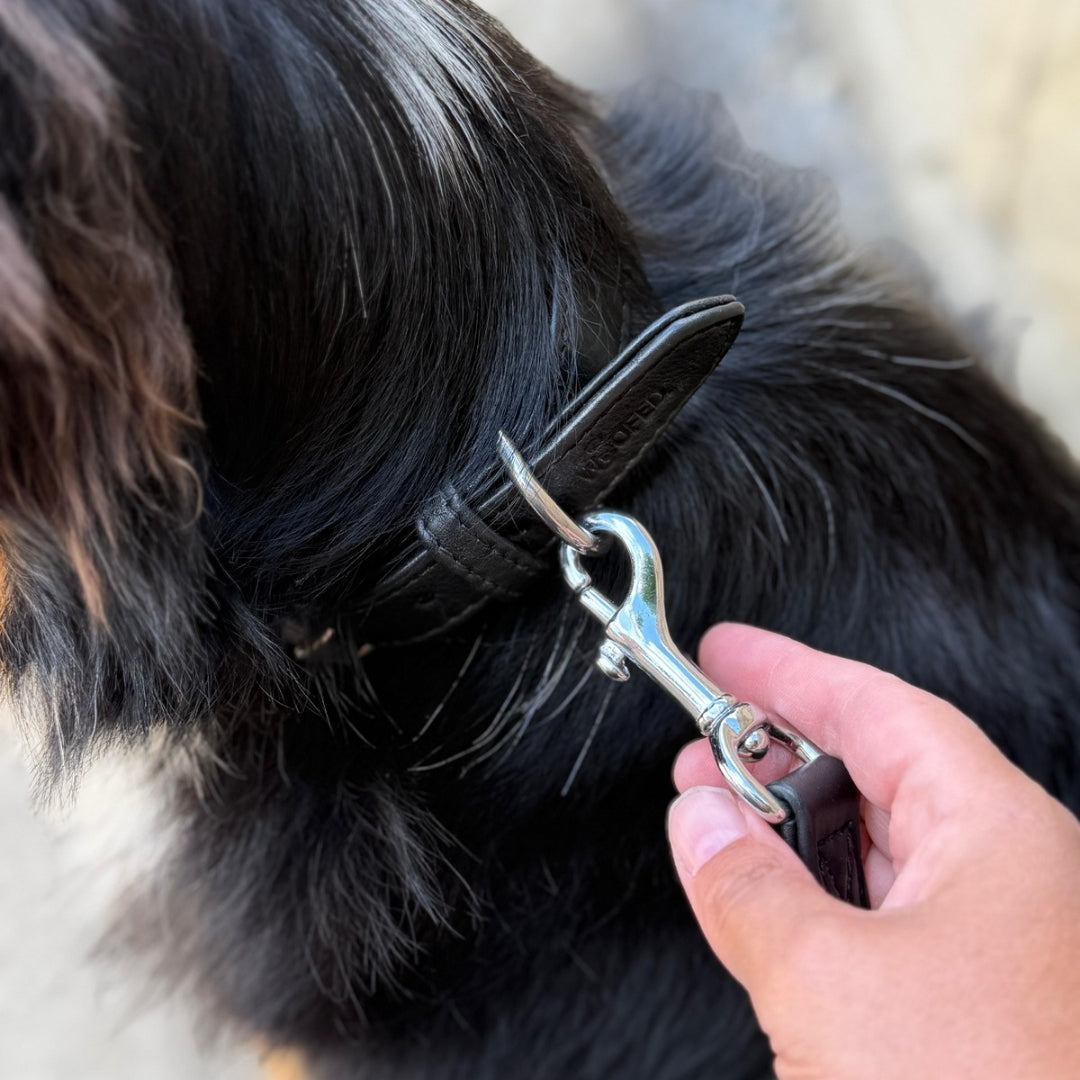 Bolzenkarabiner aus verchromten Messing an Lederleine an Bund