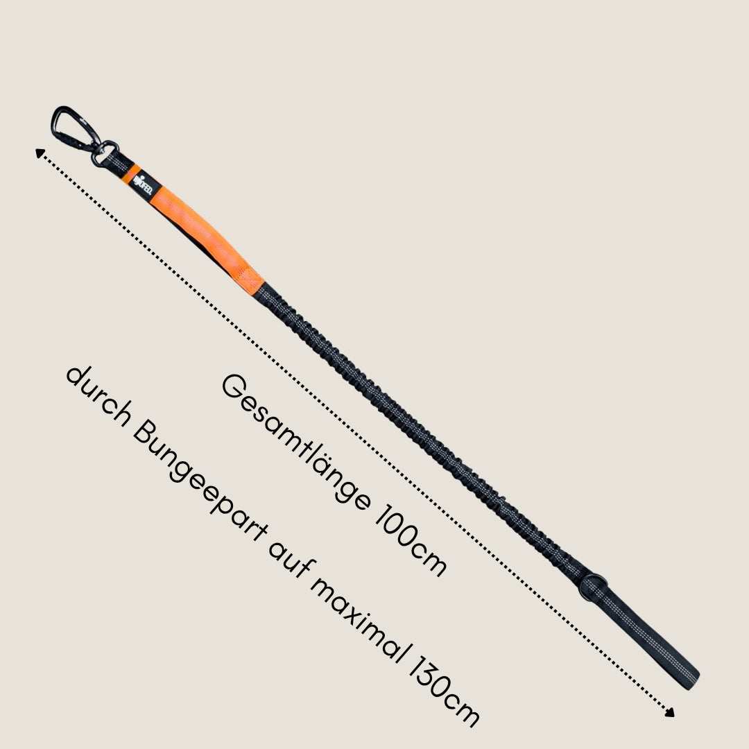Diagonale Draufsicht: schwarze Joggingleine mit orangeem Polster, Bungee-Teil, Karabiner und gepolsterter Handschlaufe