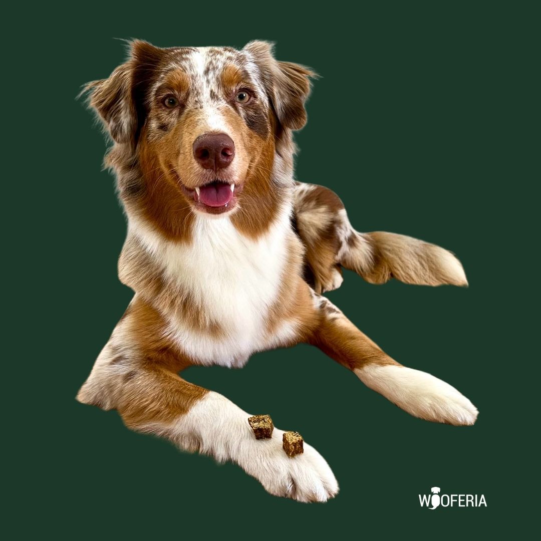 Dorschfleisch Würfel