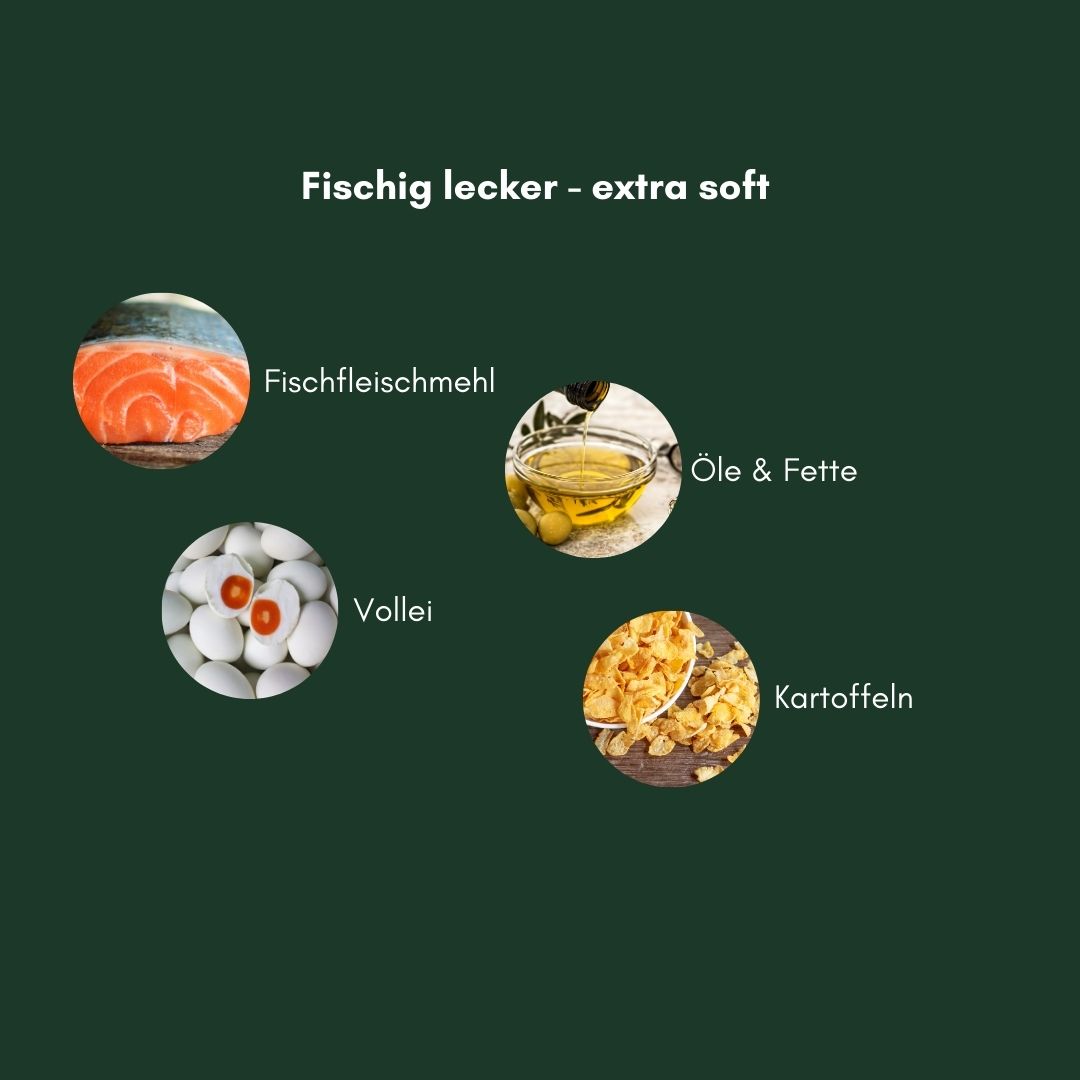 Fisch Trainings Softie