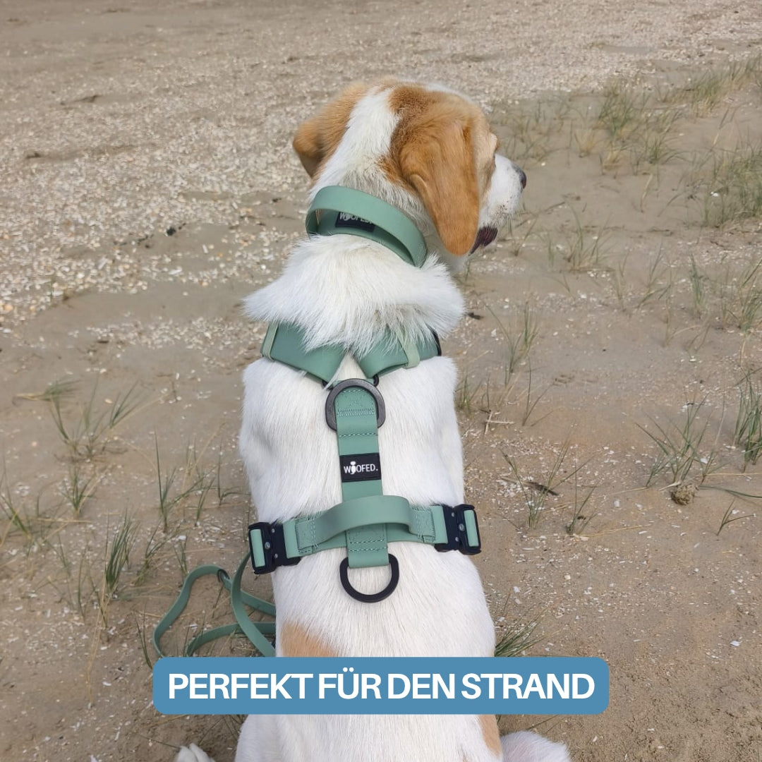 Wasserfestes Hundegeschirr für den Urlaub und am Strand