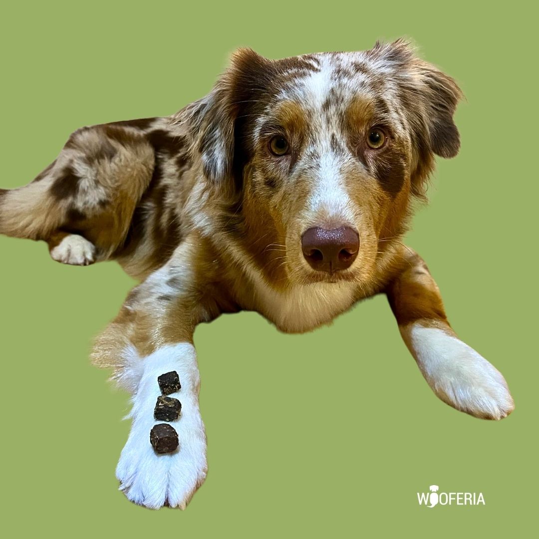 Kaninchenfleisch Würfel PUR