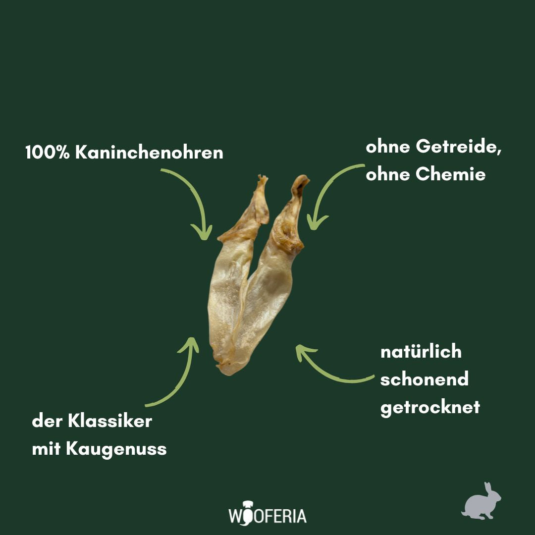 Kaninchenohren groß
