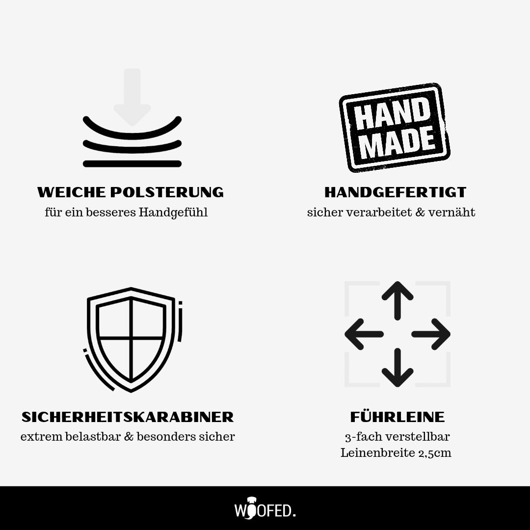 Nylon Führleine Safety Lock Red Camo