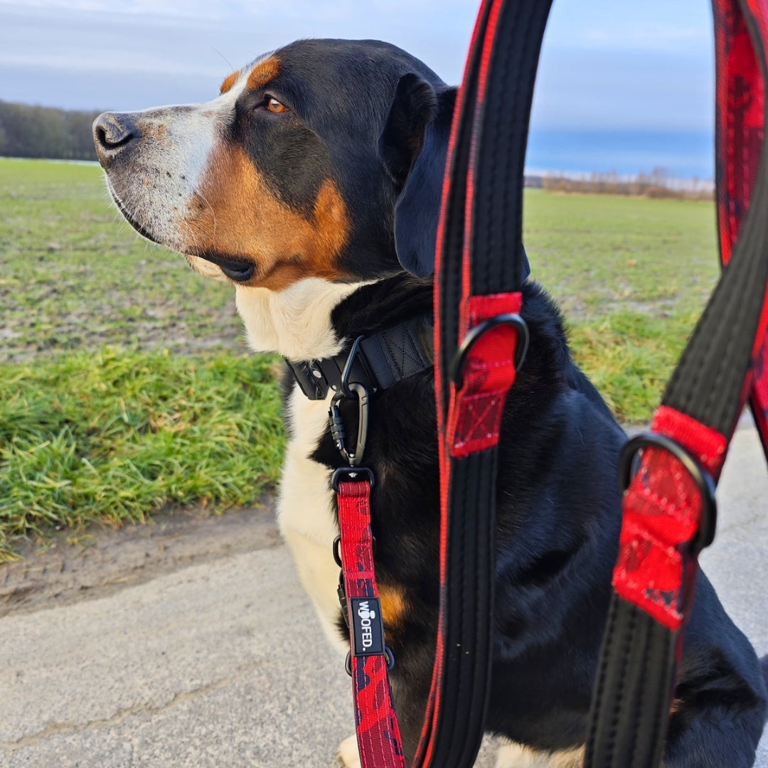 Nylon Führleine Safety Lock Red Camo