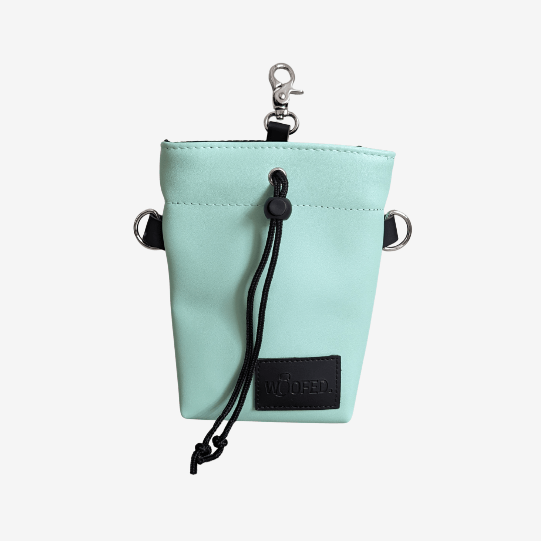 Leckerlibeutel Mint - WOOFED.