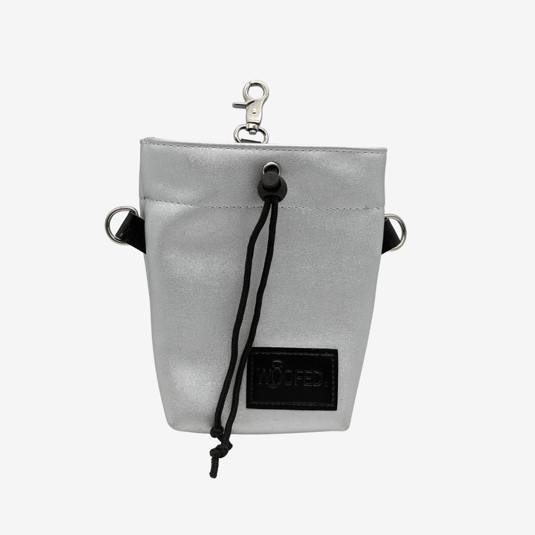 Leckerlibeutel Silver Glam - WOOFED.