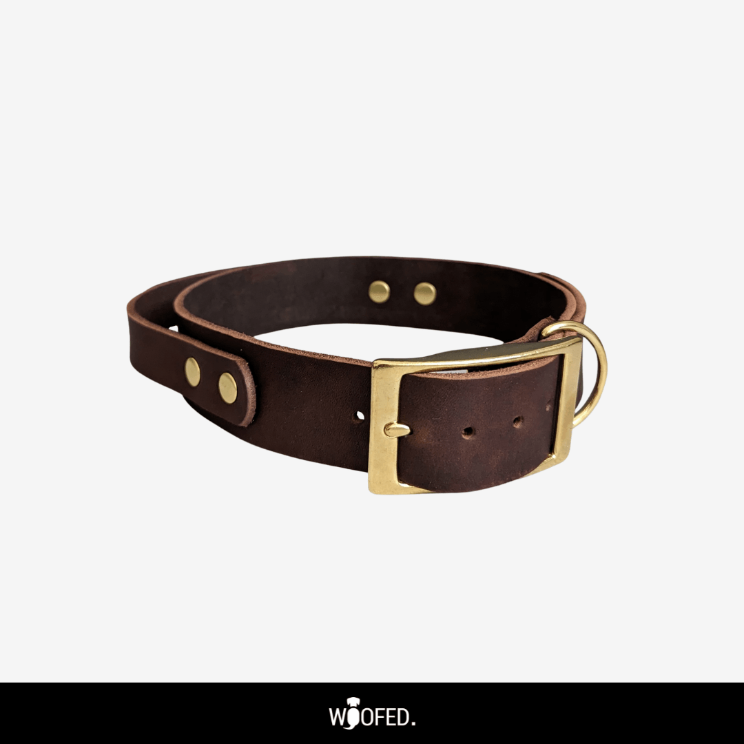 Leder Halsband mit Griff verstellbar - WOOFED.