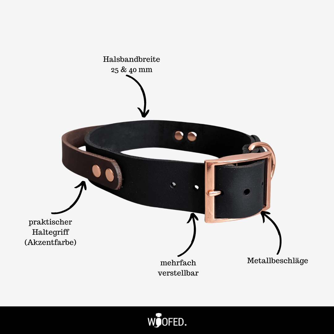 Leder Halsband mit Griff verstellbar - WOOFED.