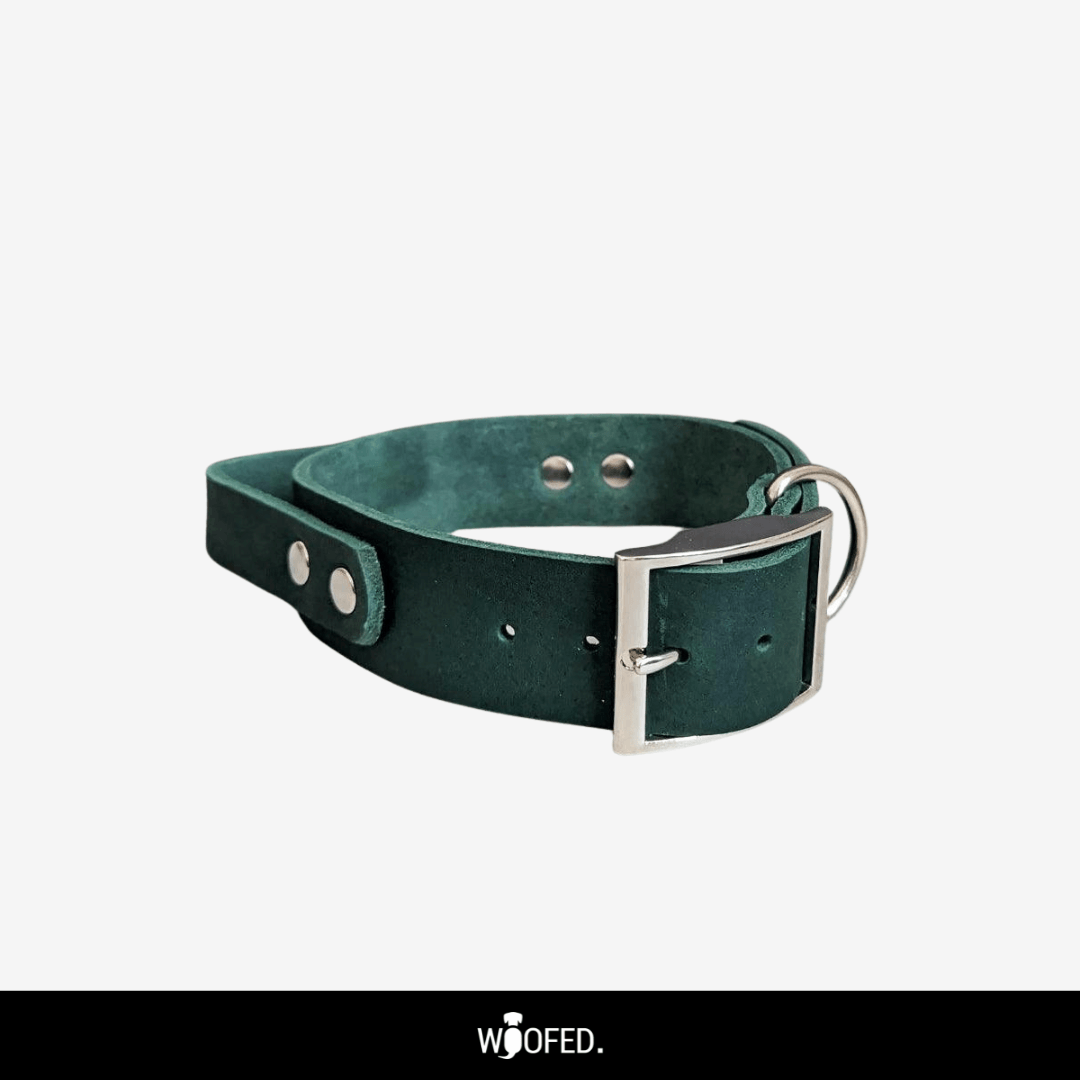 Leder Halsband mit Griff verstellbar - WOOFED.