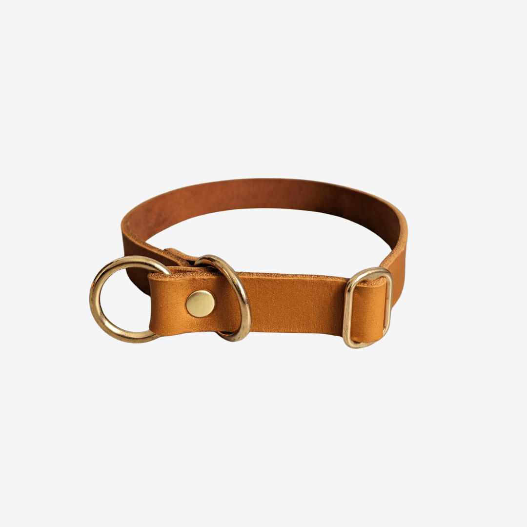Leder Halsband Zugstopp - WOOFED.