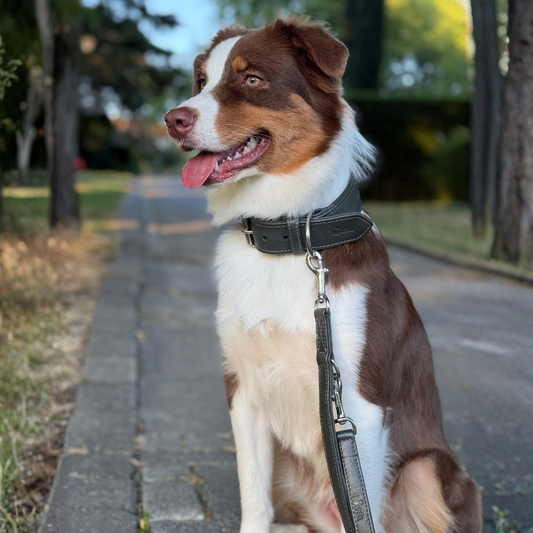 Halsband-Leinen-Set in Grün aus weichem und robusten Rindsleder