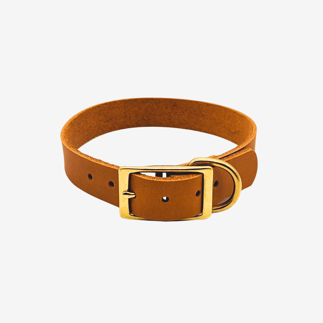Leder Halsband verstellbar - WOOFED.