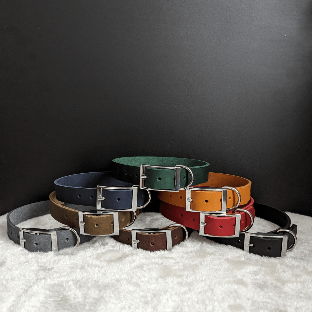 Leder Halsband verstellbar - WOOFED.