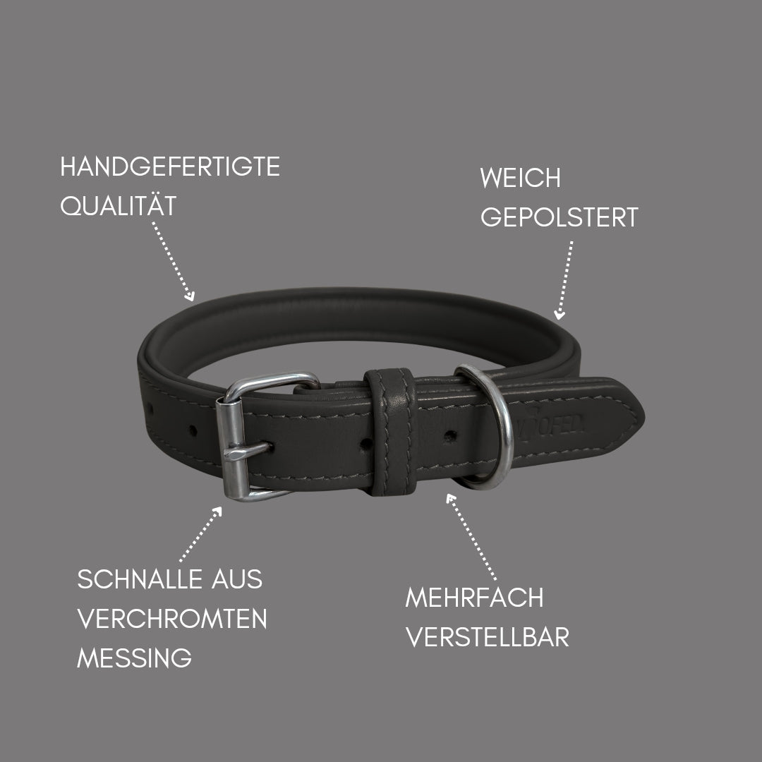 Lederhalsband in schwarz mit Messing Beschlägen und weicher Polsterung