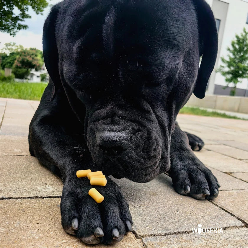 Mozzarella Trainings Softies