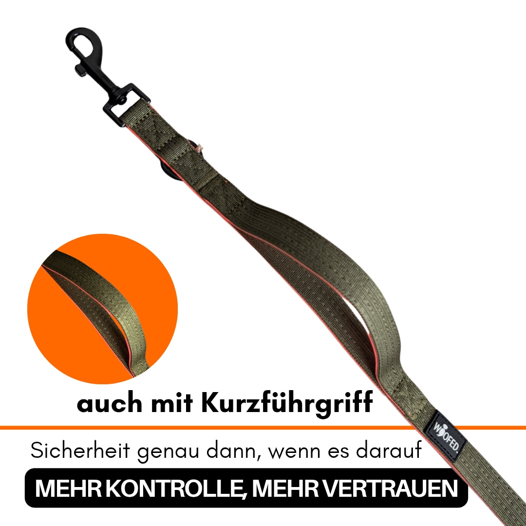 Verstellbare Hundeleine in Oliv Orange mit Kurzführgriff für Alltag, Training und reaktive Hunde