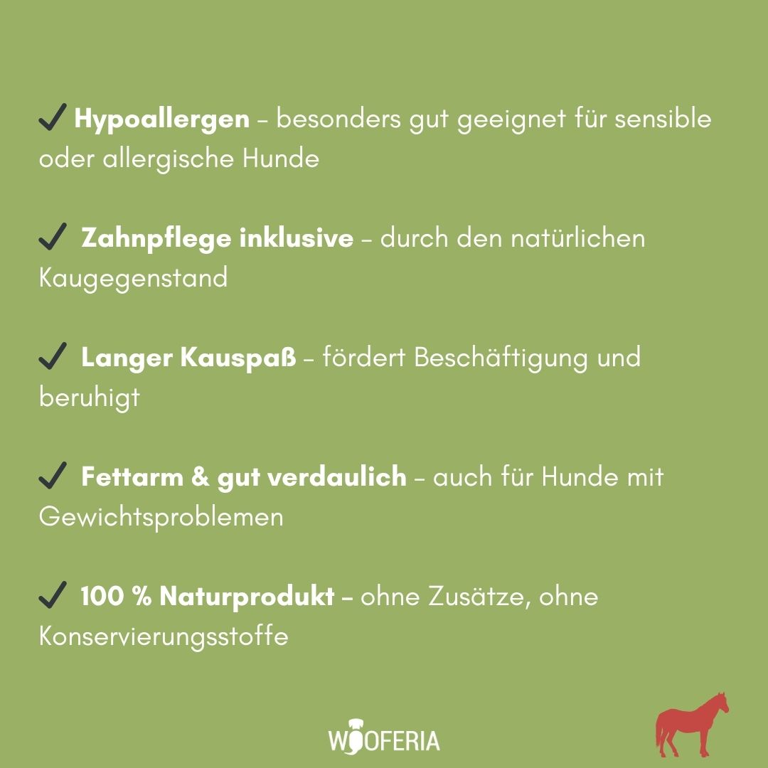 Grüne Infografik mit weißen Häkchen zu Hypoallergen, Zahnpflege, Kauspaß; WOOFERIA-Logo und rote Pferdesilhouette