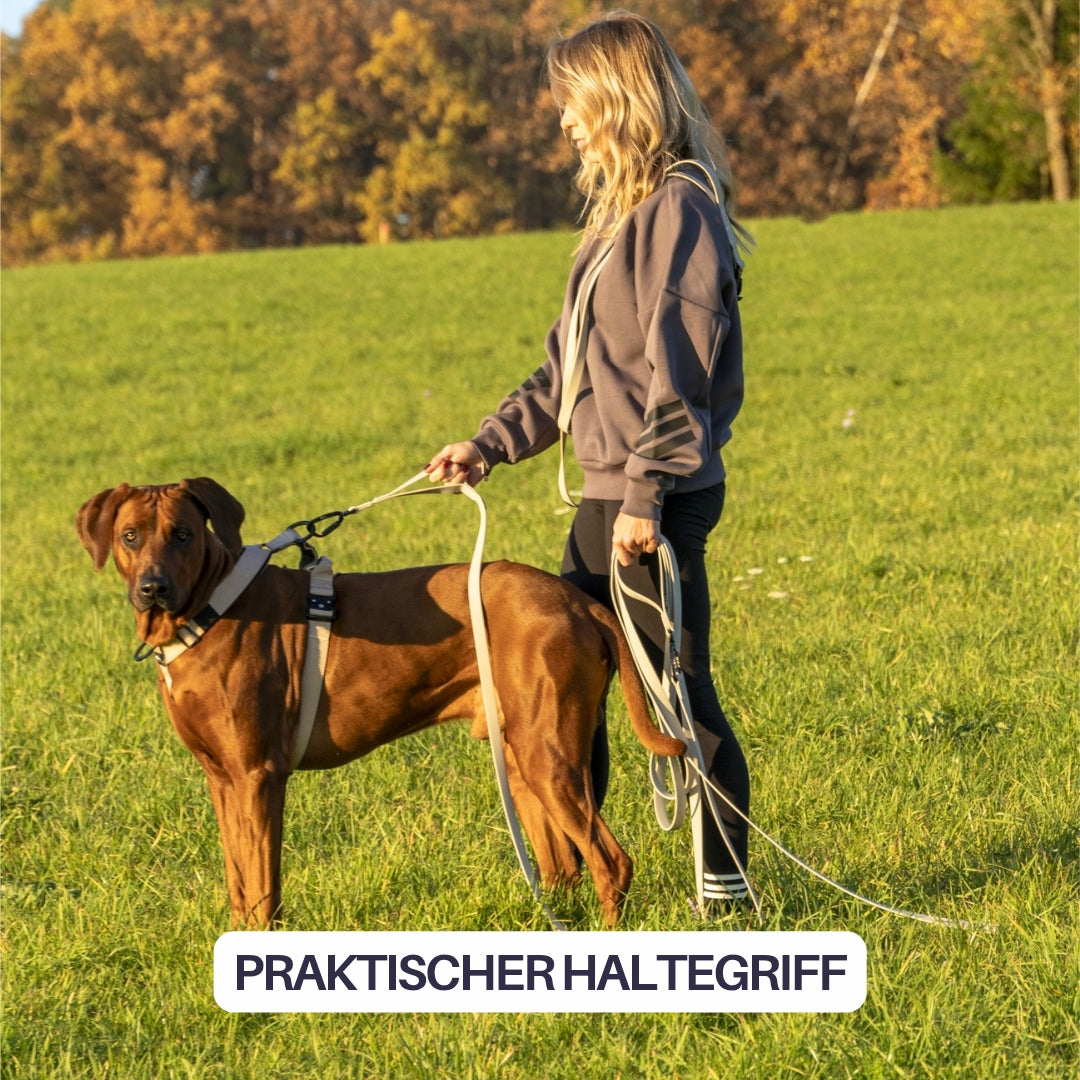 Seitliche Ansicht: Frau hält beige WOOFLEX® Schleppleine mit Kurzgriff, brauner Hund im Geschirr auf grüner Wiese