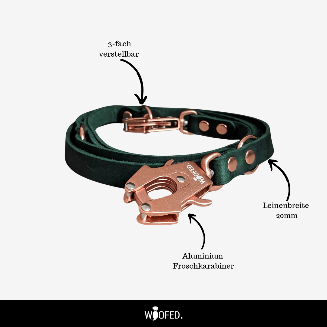 Leder Tactical Führleine verstellbar - WOOFED.