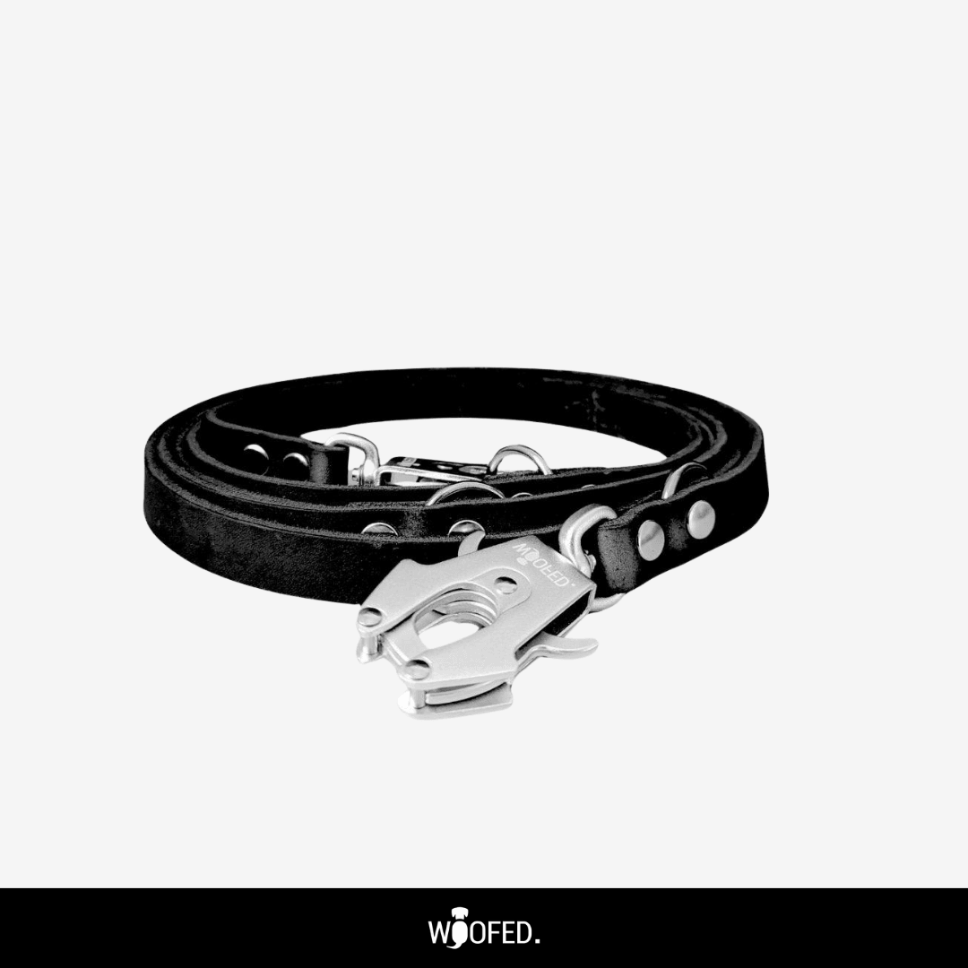 Leder Tactical Führleine verstellbar - WOOFED.