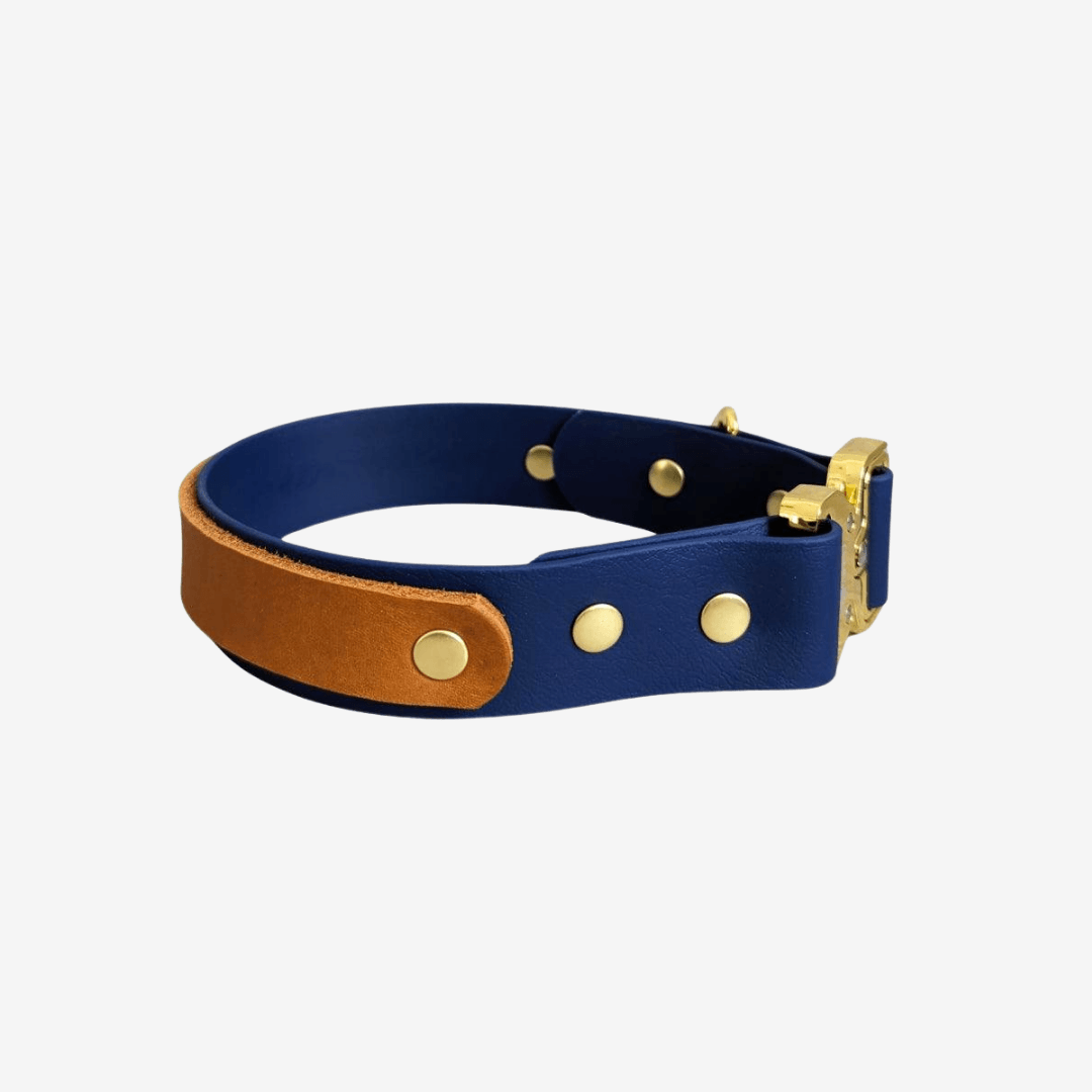Blaues Biothane-Hundehalsband mit braunem Fettleder-Akzent, goldenen Nieten und goldener Schnalle, schräg auf weißem Hinterg