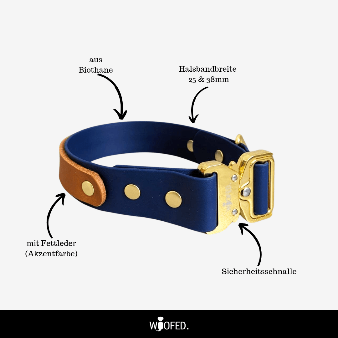 Dunkelblaues Biothane-Halsband mit braunem Fettleder-Akzent, goldener Schnalle und Nieten, seitliche Ansicht