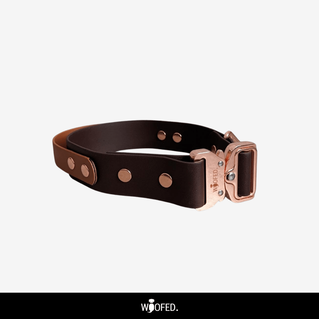 Biothane Tactical Halsband mit Griff - WOOFED.