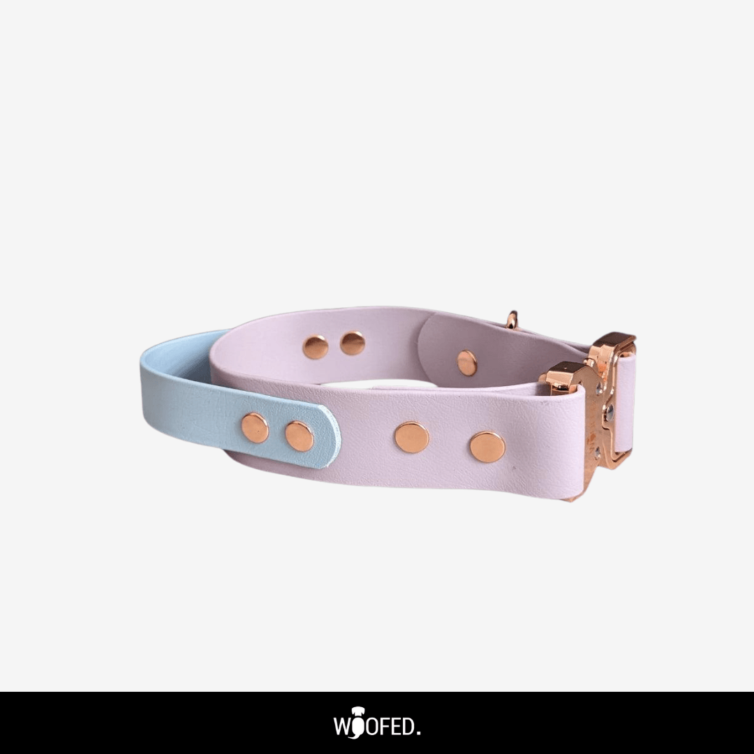 Biothane Tactical Halsband mit Griff - WOOFED.