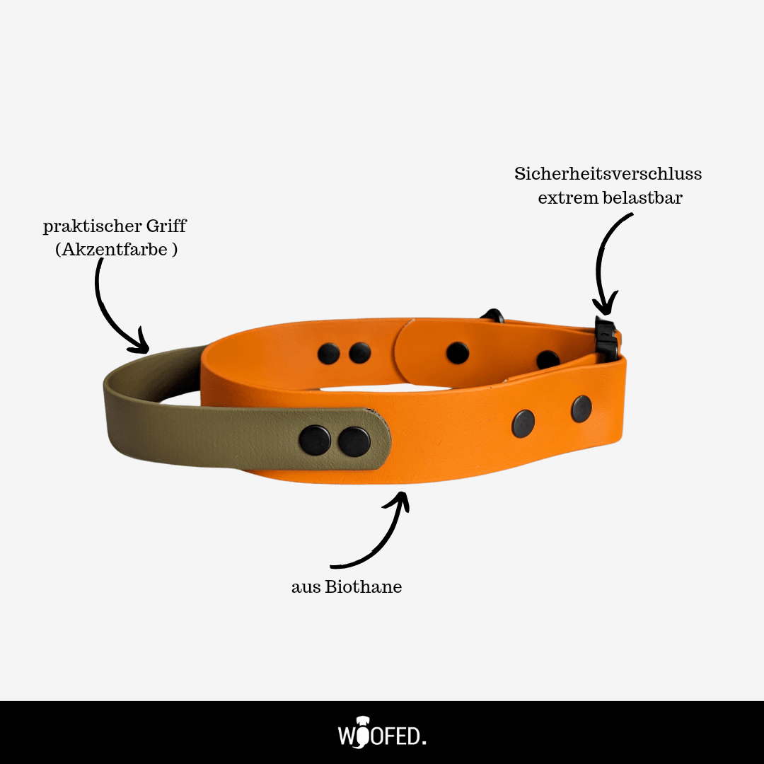 Biothane Tactical Halsband mit Griff - WOOFED.