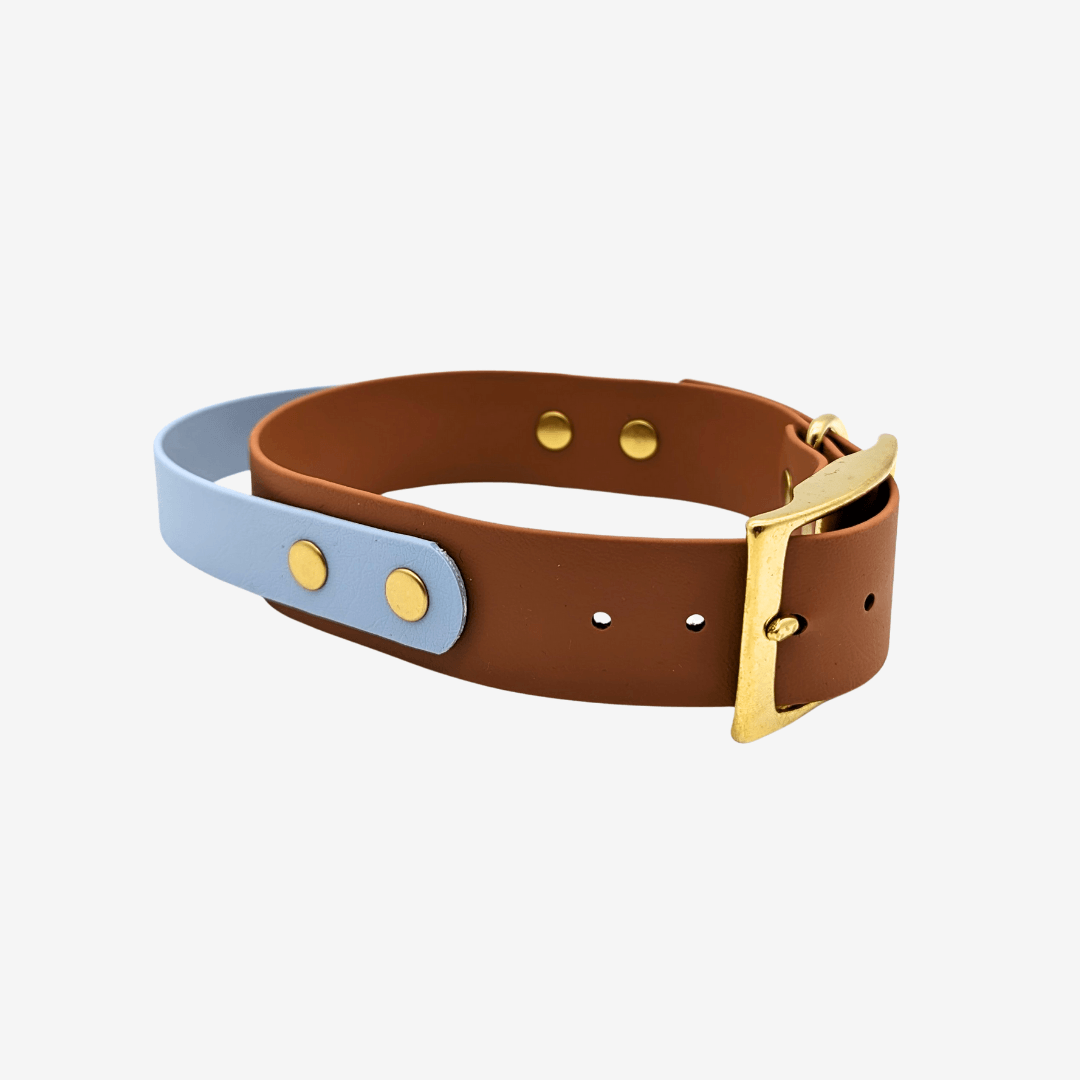 Biothane Halsband mit Griff verstellbar - WOOFED.