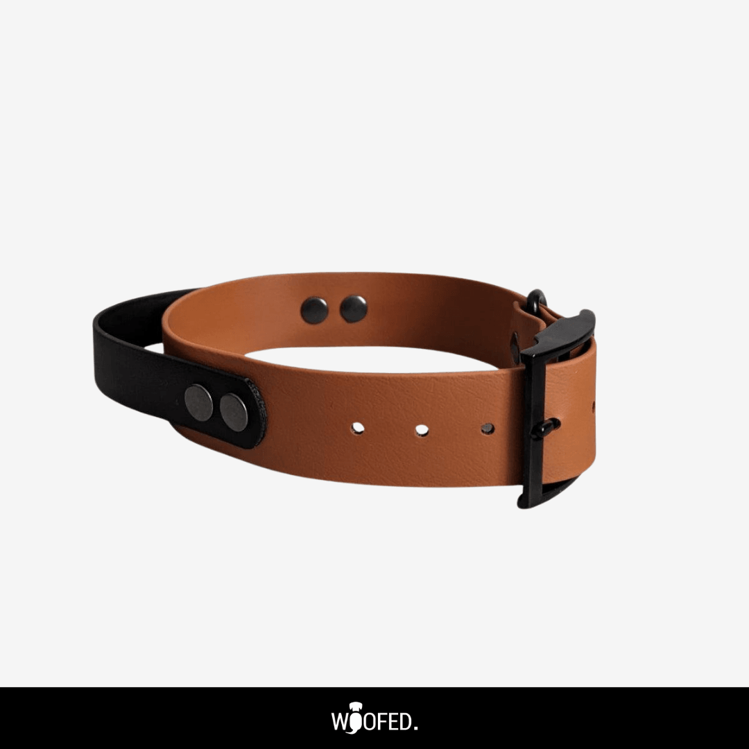 Biothane Halsband mit Griff verstellbar - WOOFED.