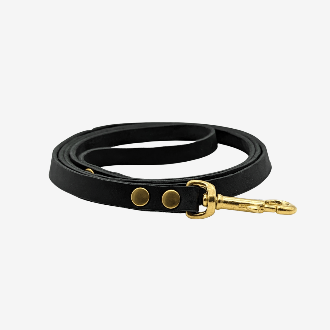 Leder Führleine mit fester Handschlaufe - WOOFED.