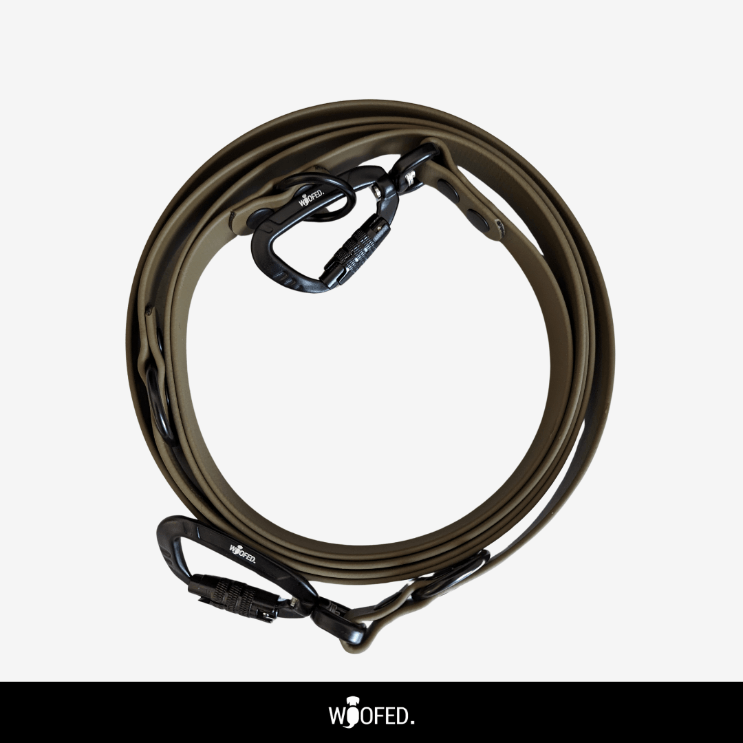 Biothane Führleine mit Sicherheitskarabiner verstellbar - WOOFED.