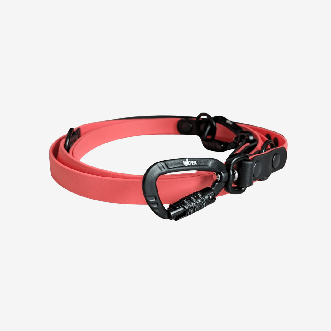 Biothane Führleine Mix it mit Sicherheitskarabiner verstellbar - WOOFED.