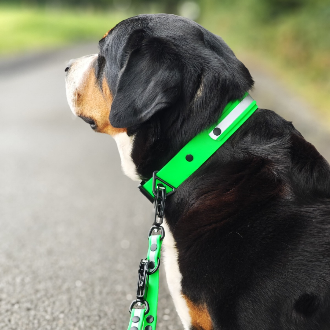 Biothane Tactical Reflective Halsband