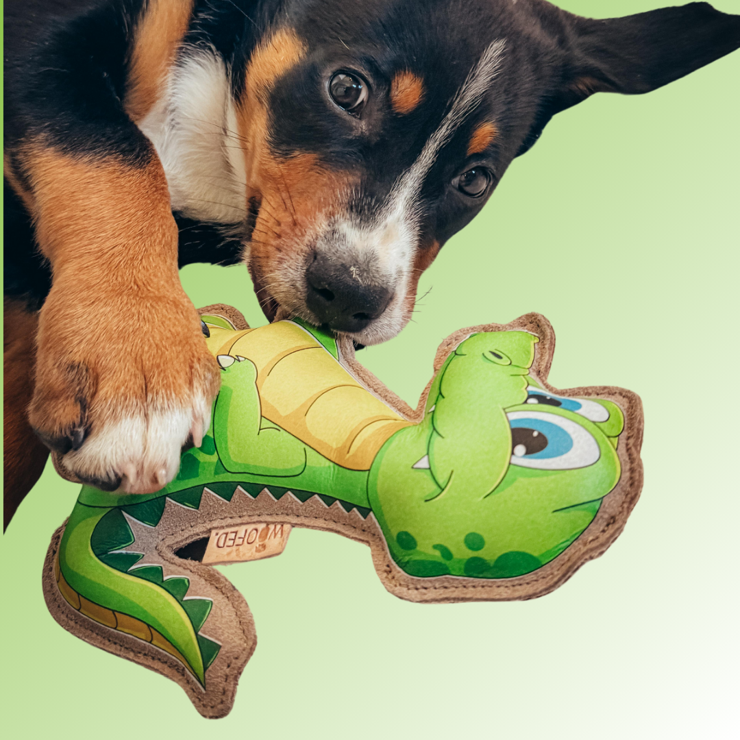 Hundespielzeug Krokodil "Kroko"